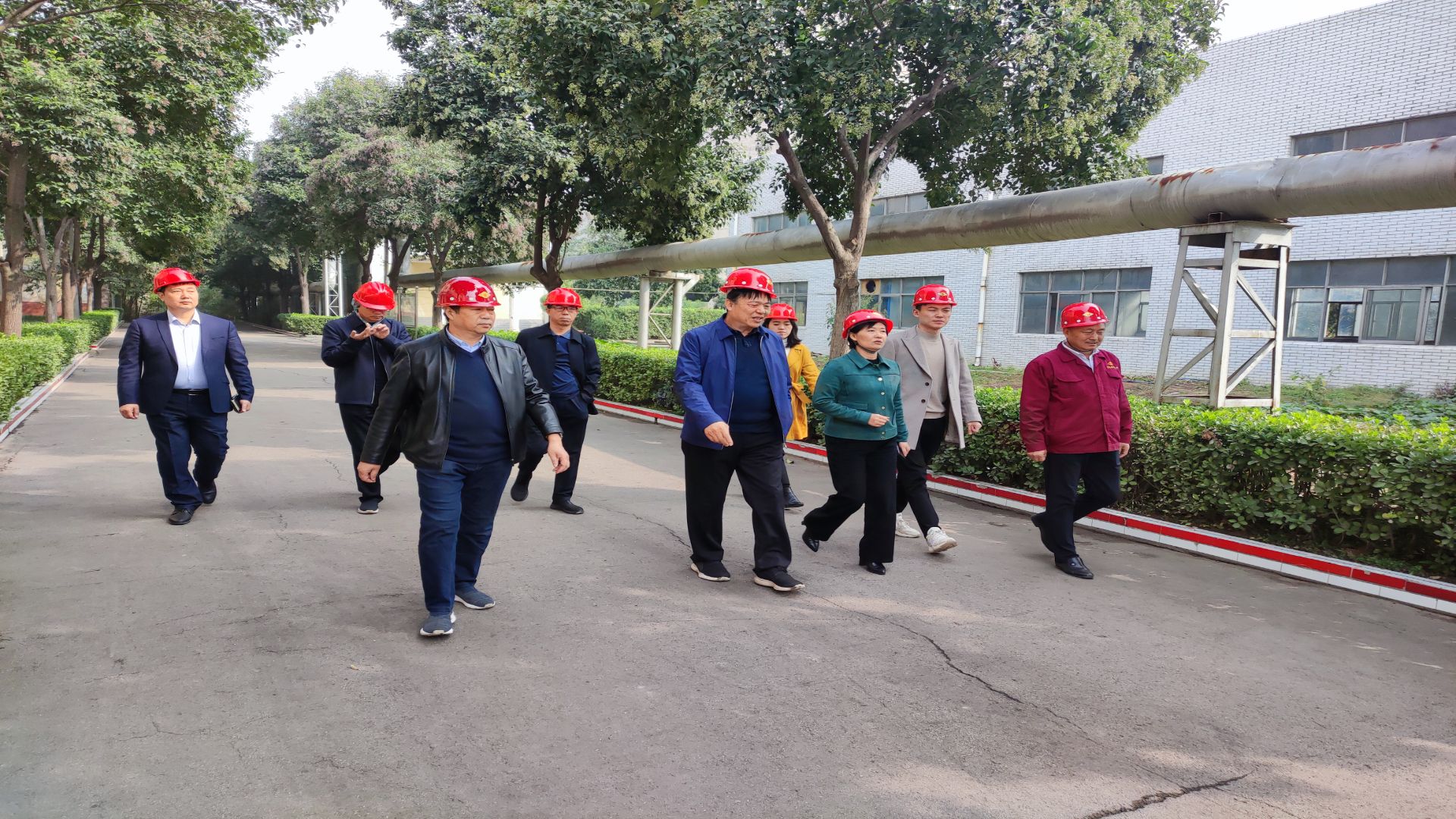 1634890632428909.jpg 1634890540646.jpg