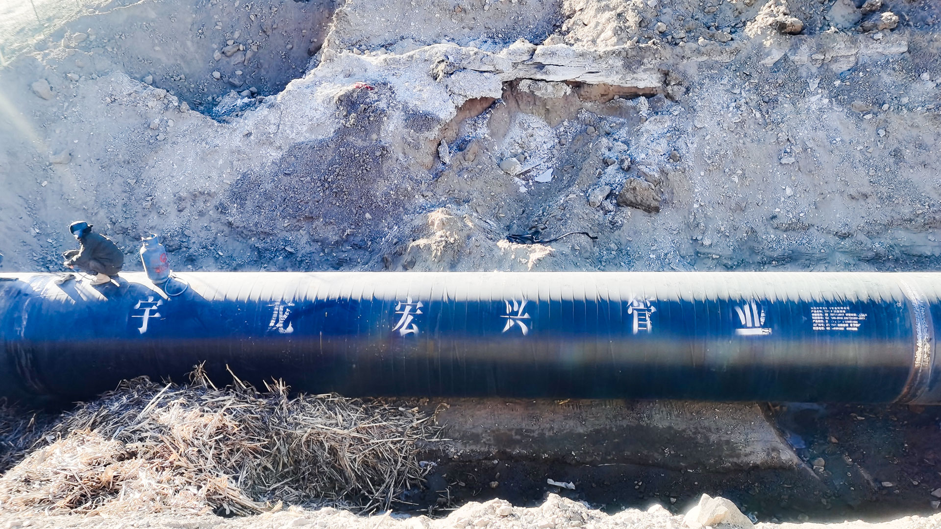 1655451696586589.jpg 內(nèi)蒙岱海-(1).jpg