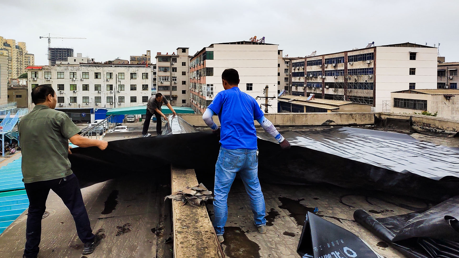 1659064195744321.jpg 多方聯(lián)動(dòng)-(3).jpg